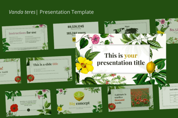 Vanda Teres: A Modern Template for Dynamic Presentations